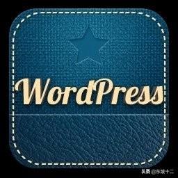 你发现利用WordPress疯狂创富月入过万的商机了吗？